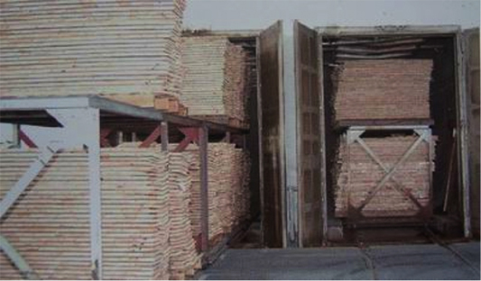 好鋼琴的世界標準 