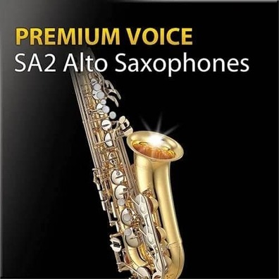 超清晰音色2代 中音薩克斯