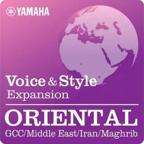 東方海灣/中東/伊朗/馬格里布