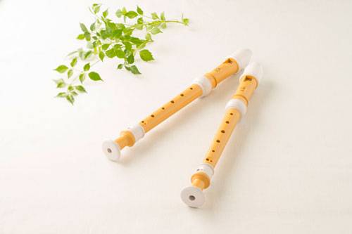 雅馬哈全新植物塑膠豎笛