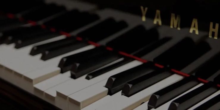 疫情下的新探索|中美高校國際遠程大師班圓滿結束！